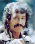 Peter Wyngarde