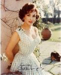 Gina Lollobrigida