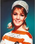 Annette Andre