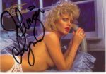 Ginger Lynn