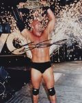 Bill Goldberg