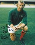 Bob Wilson